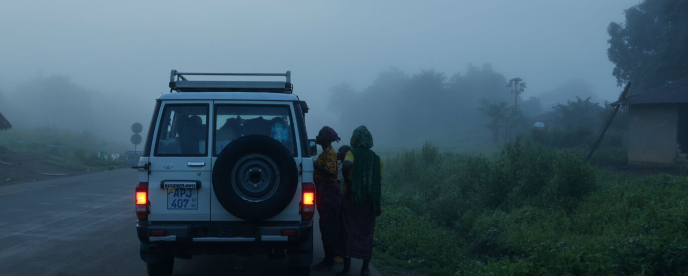 Misty morning
